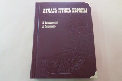 Изготовление подарочного экземпляра книги