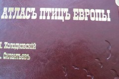 Изготовление подарочного экземпляра книги