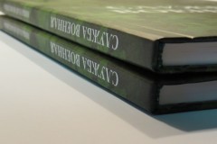 Книга в твердом переплете малым тиражом.