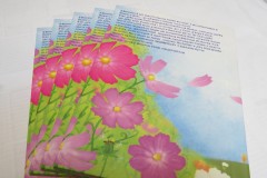 Печать детской книги в твердом переплете.